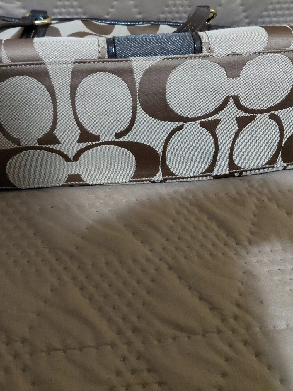 Coach Signature Canvas Tote in Brown